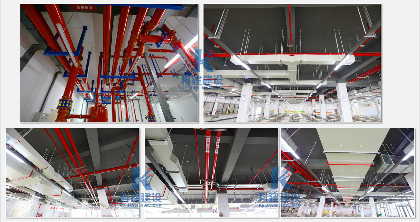 1641540835682914.png 10.png